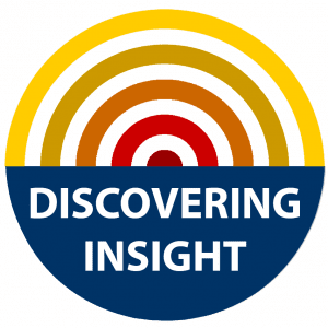 Discovering Insight